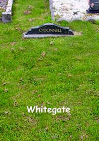 O'Donnell